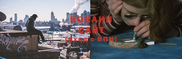 индика Абинск