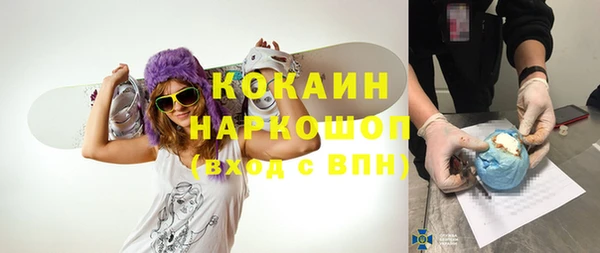 индика Абинск