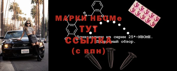 индика Абинск