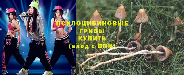 индика Абинск