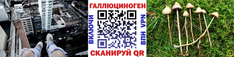 Галлюциногенные грибы Magic Shrooms  кракен ССЫЛКА  Рославль 